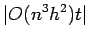 $\displaystyle \vert O(n^3 h^2)t\vert$