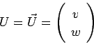 \begin{displaymath}U=\vec U=
\left(
\begin{array}{c}
v\\ w
\end{array}\right)\end{displaymath}